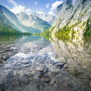 Obersee: glasklares Wasser